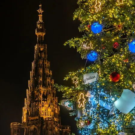 With Parking Strasbourg